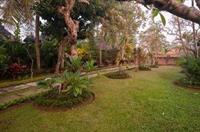 Hotel Sayan Kubu Ubud (Bali)