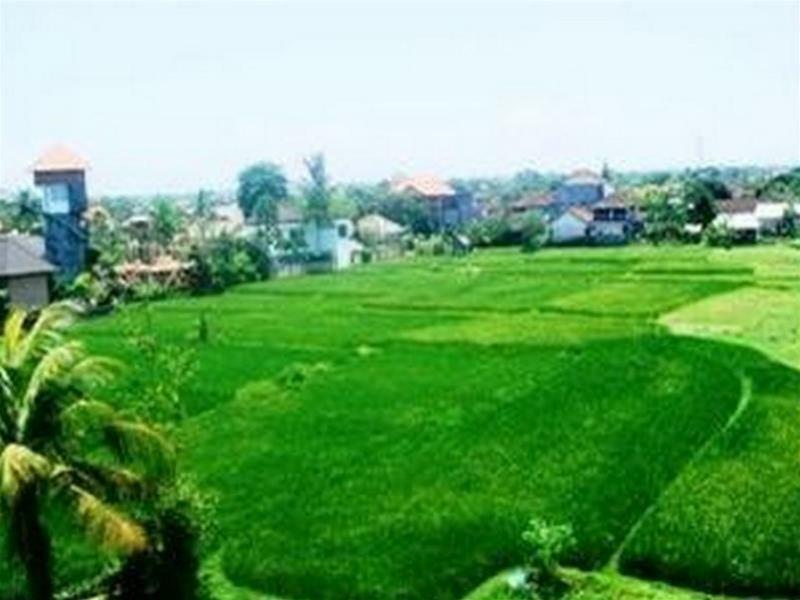 Nuriani Rumah tetamu Ubud (Bali)