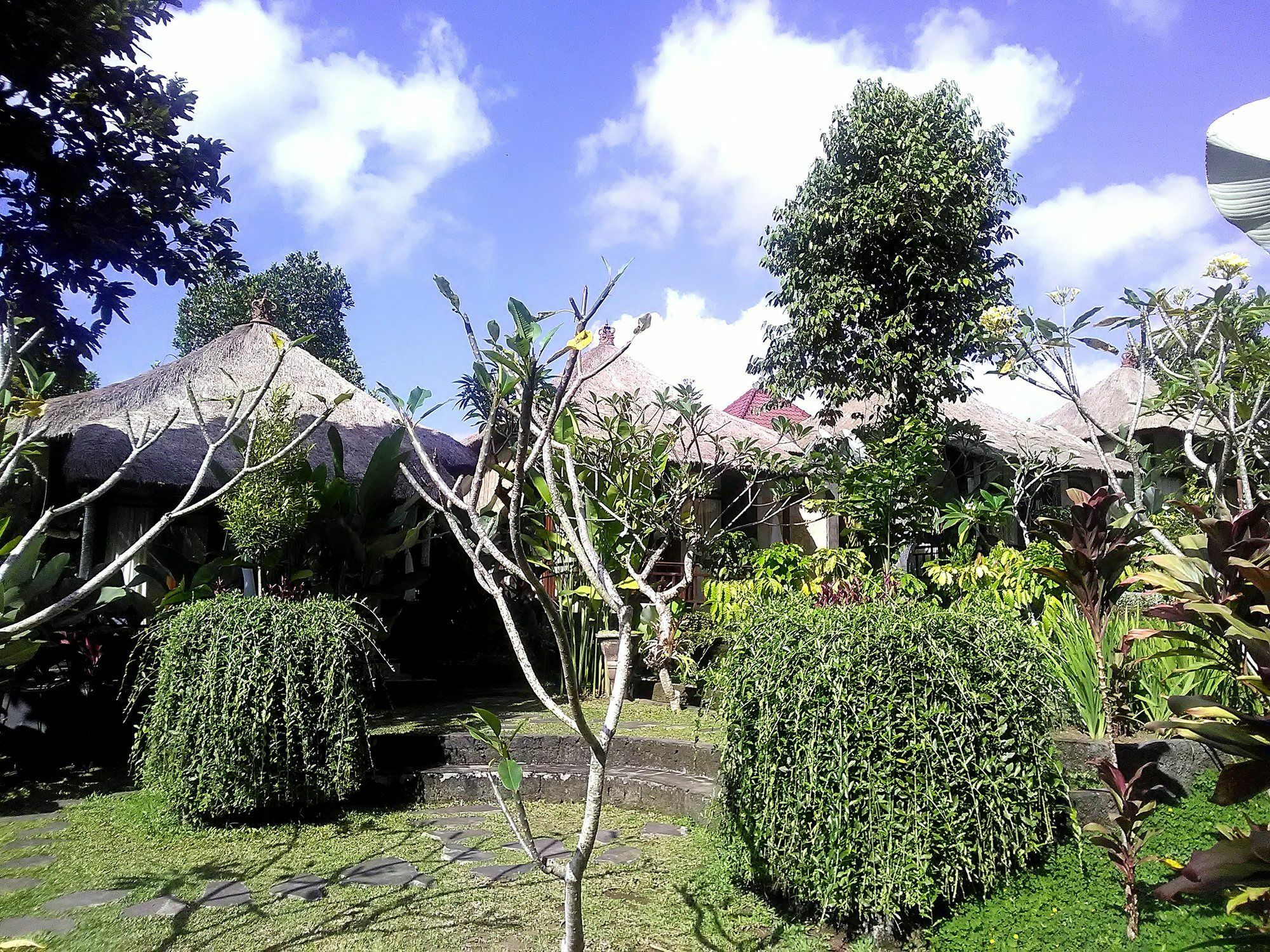 Astawa House 2* Ubud (Bali)
