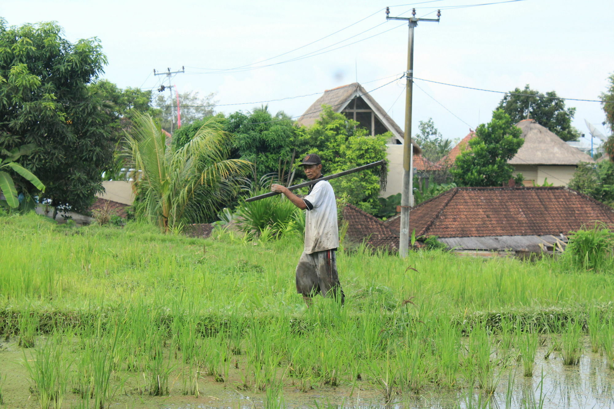 Permata Ubud