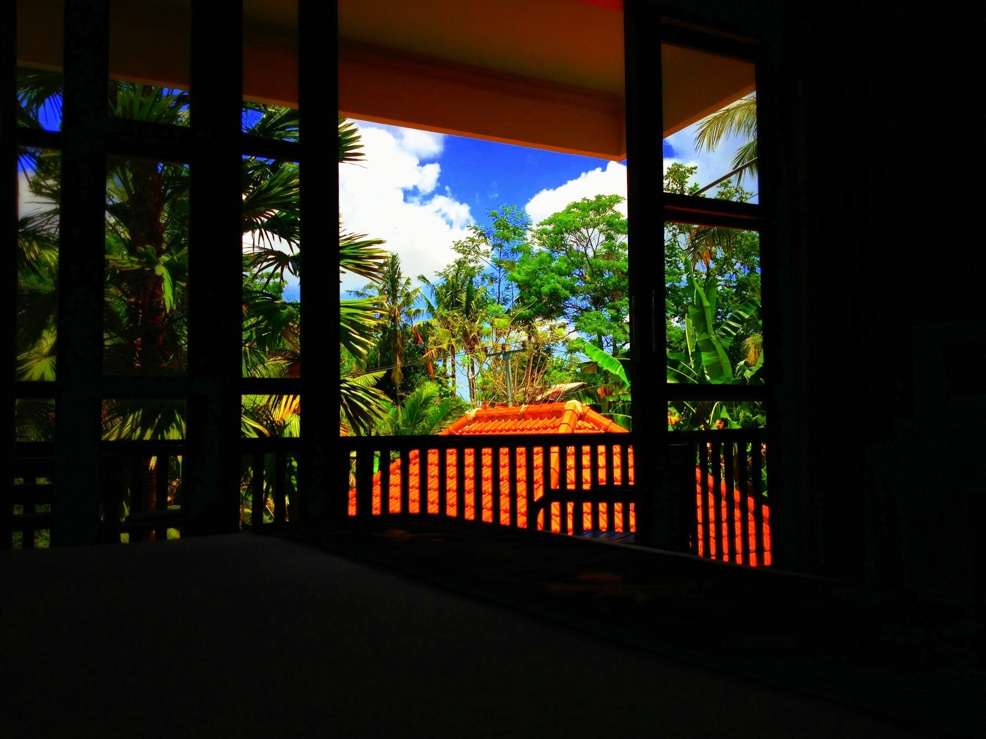 Villa Sonia Bisma 3*