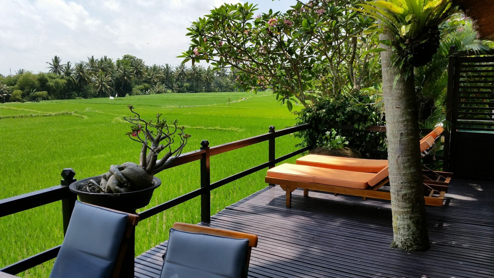 Lodtunduh Sari 4* Ubud (Bali)