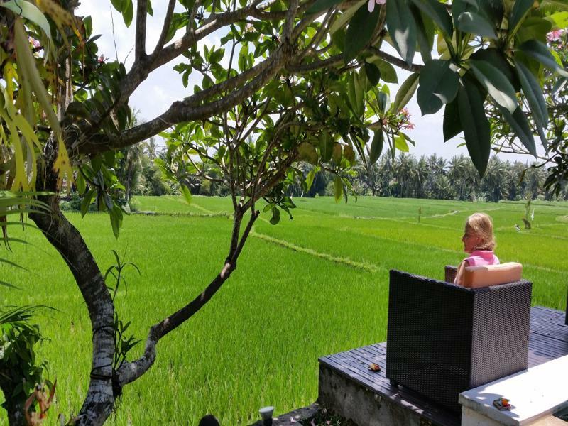 Lodtunduh Sari Taman percutian 4*