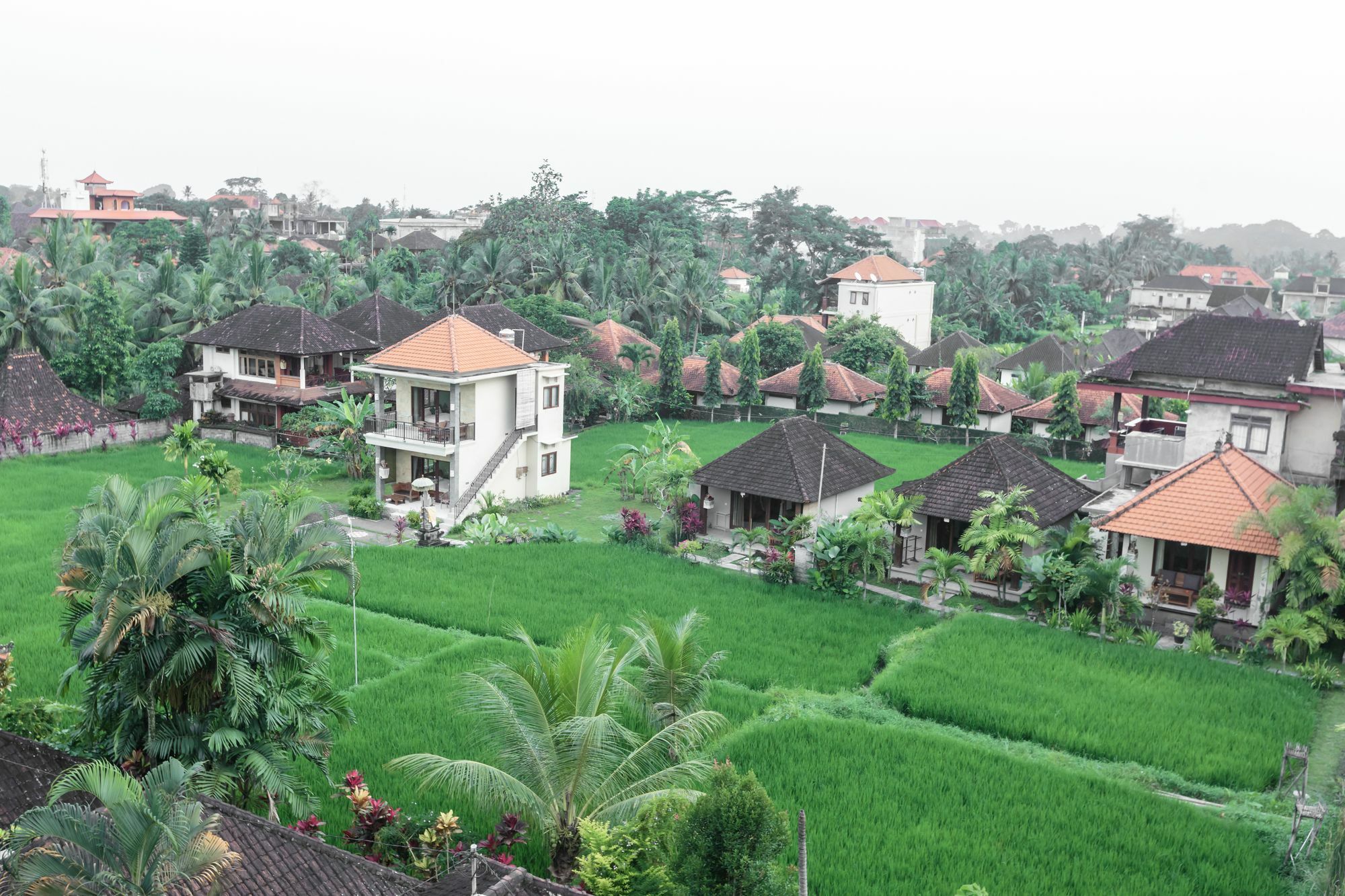 Gasthuis Warji House 2 Bisma 3*