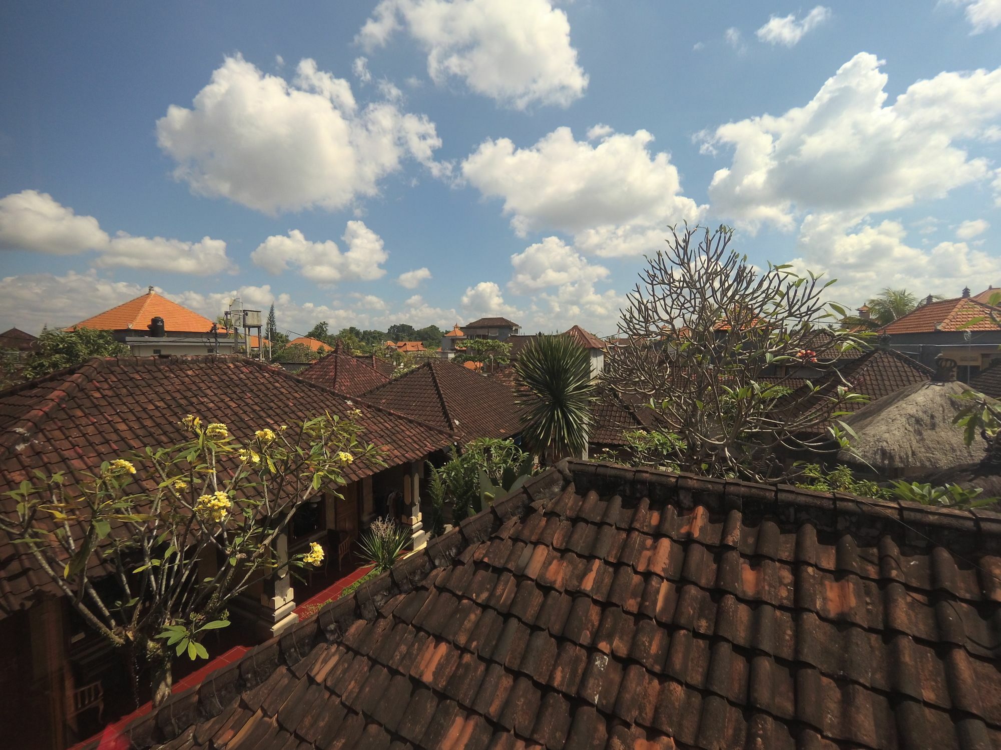 Homestay Rumah Ary & *