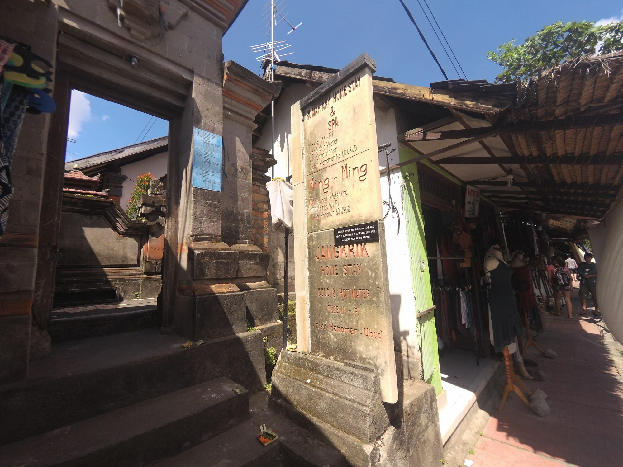 Homestay Rumah Ary & Ubud (Bali)