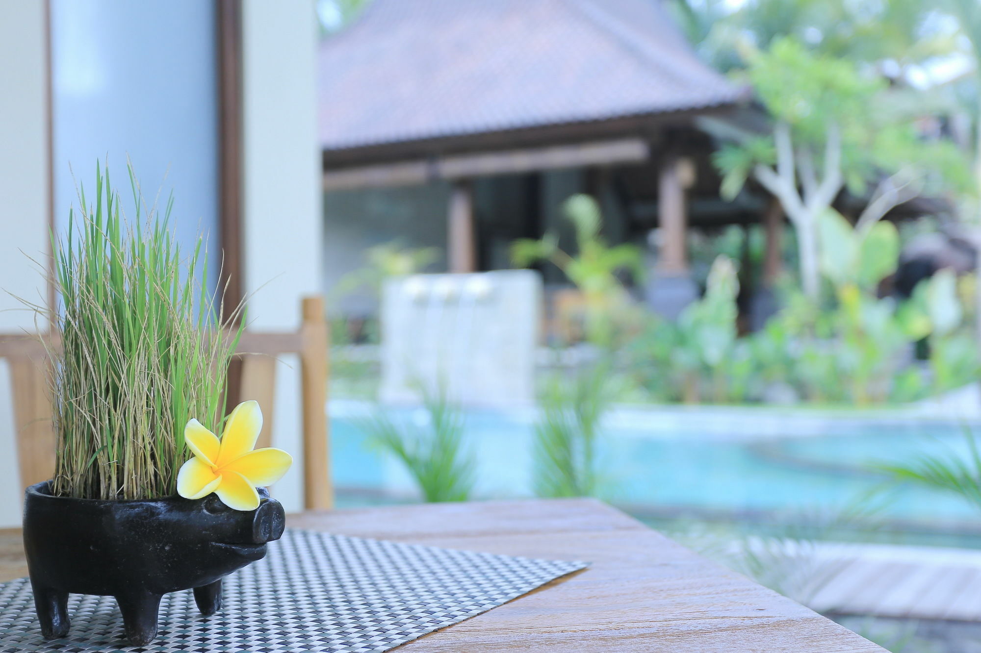 Masia 4* Ubud (Bali)
