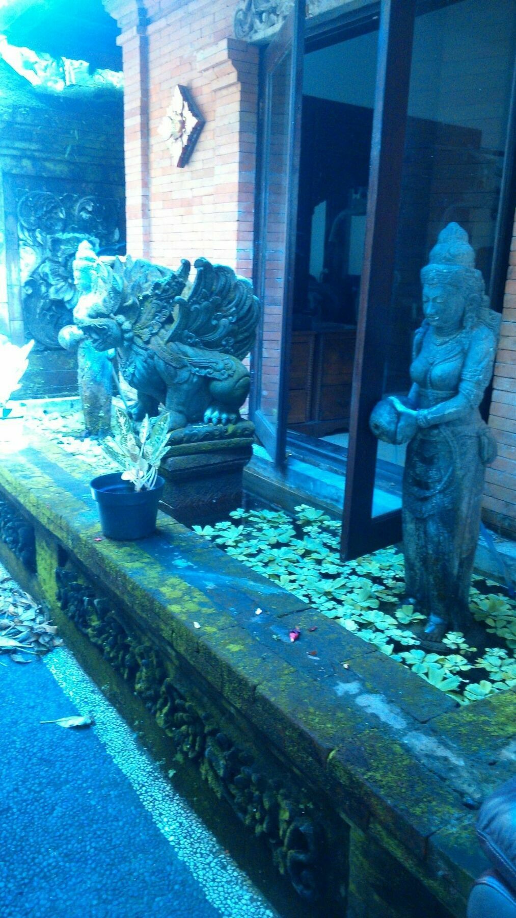 Guest house Fibra Bungalow Ubud (Bali)