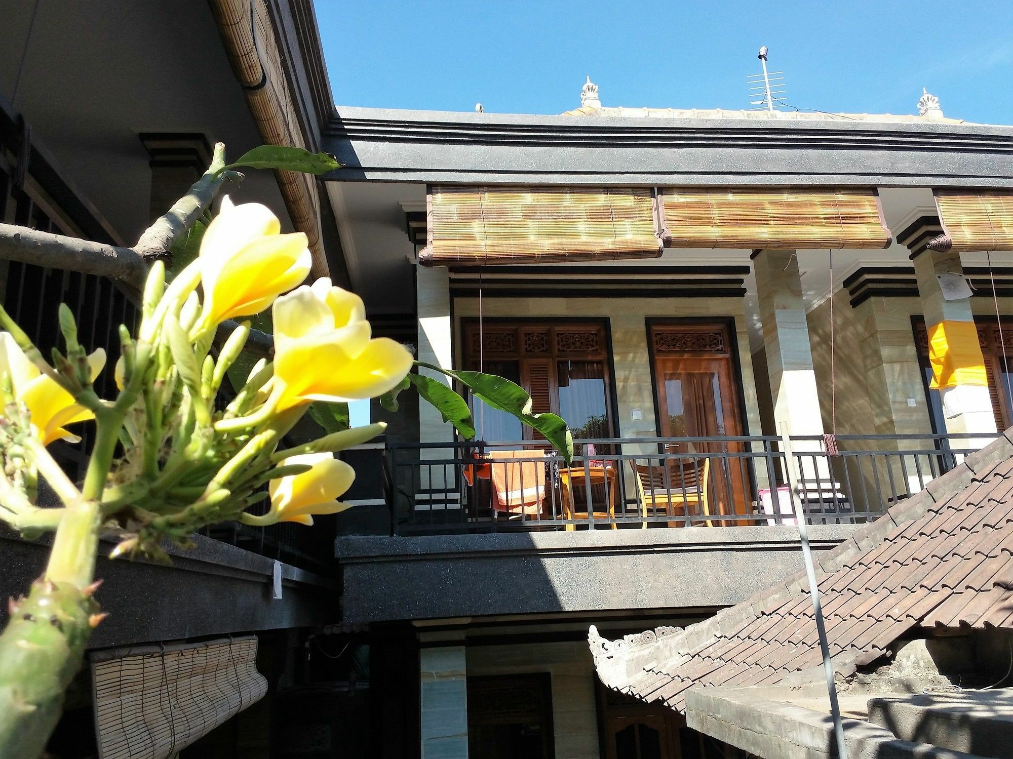 Homestay Rumah Ary & Ubud (Bali)