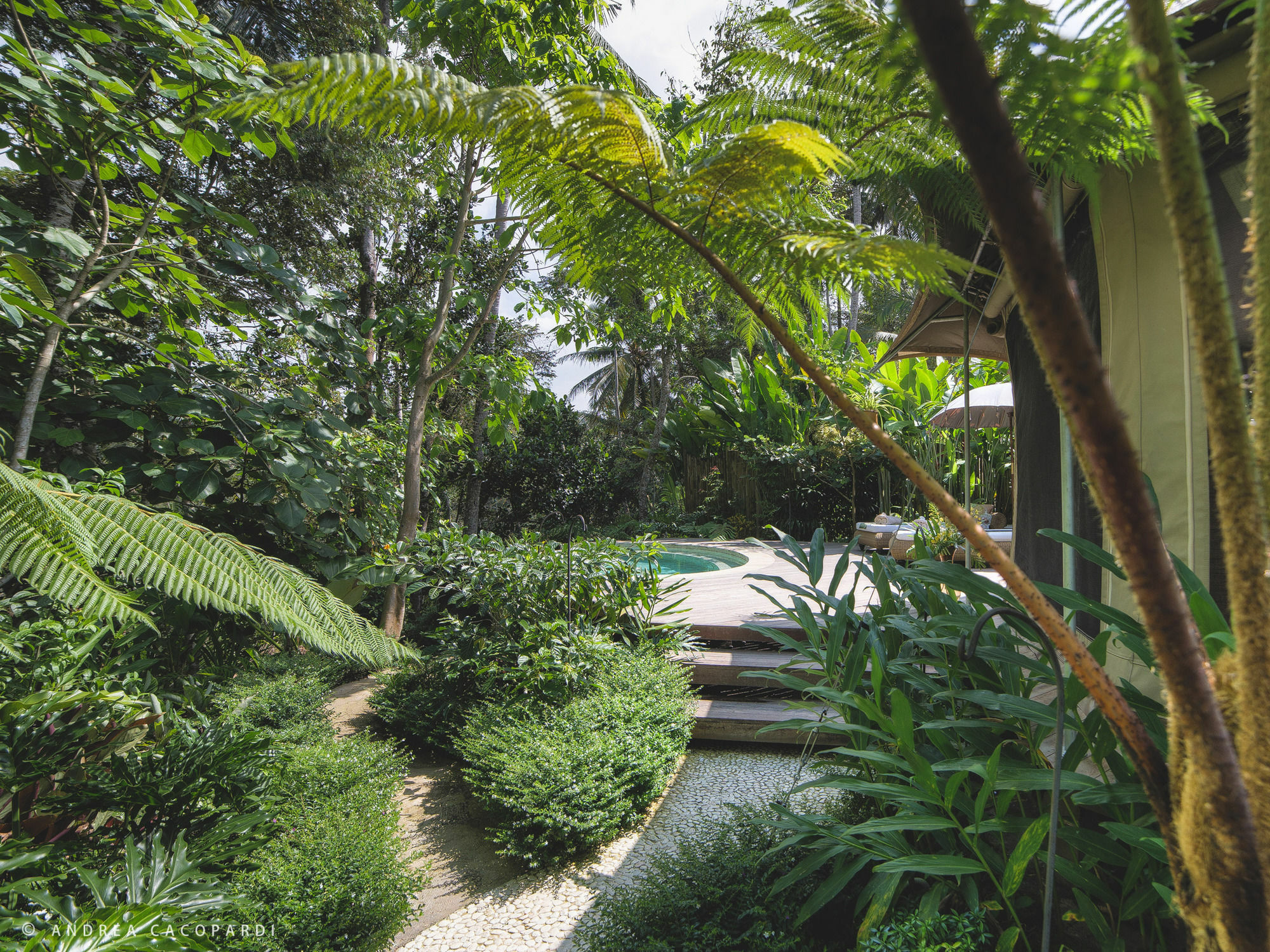 Sandat Glamping Tents 4* Ubud (Bali)