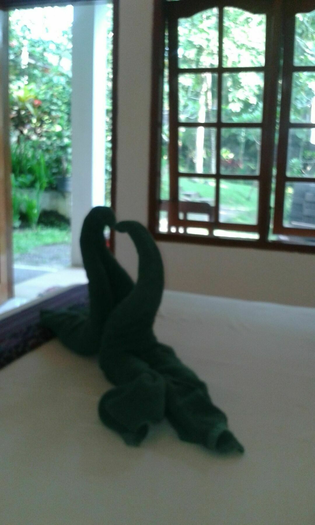 Argasoka Holiday park Ubud (Bali)