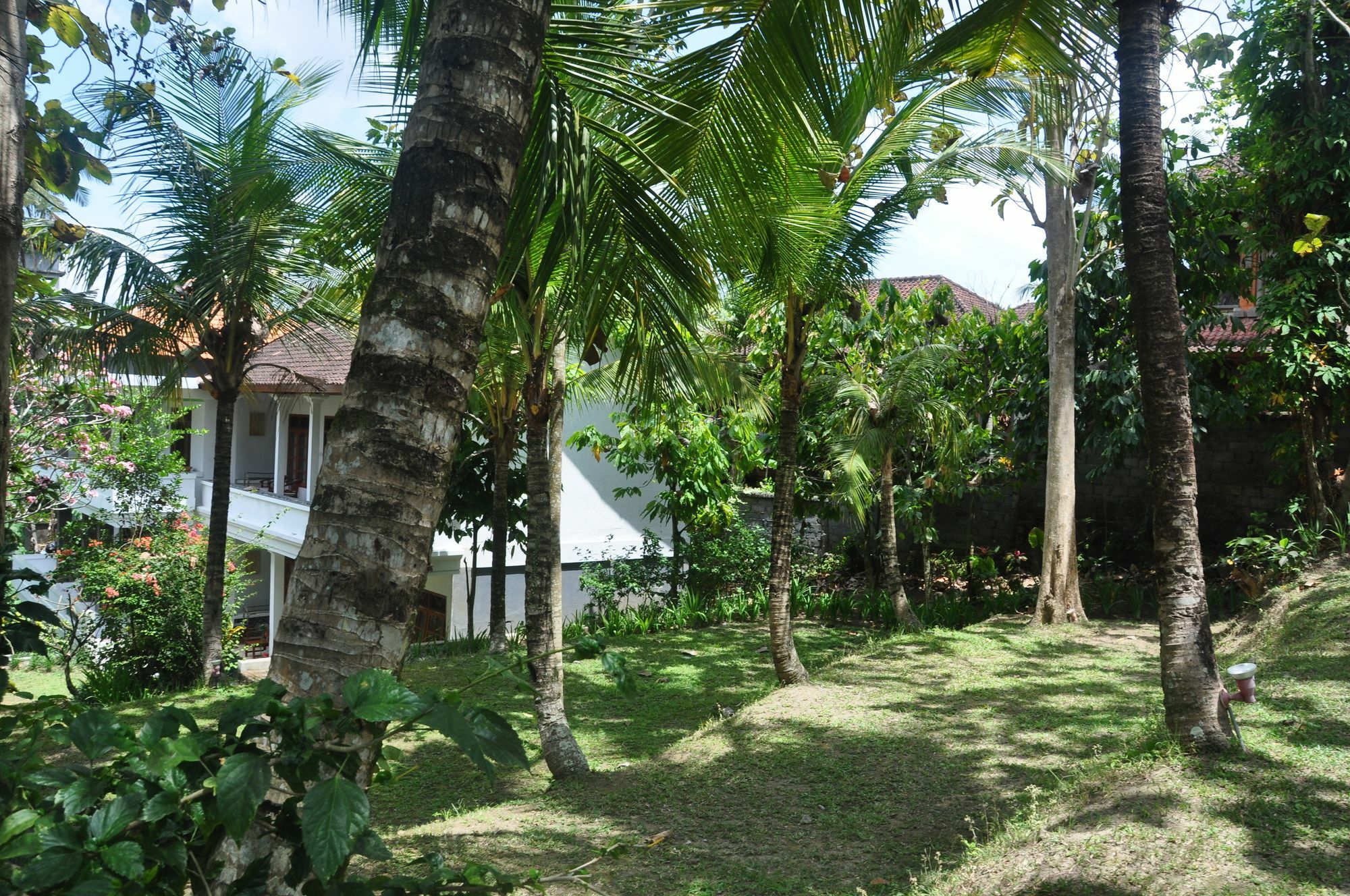 Argasoka Holiday park 2*