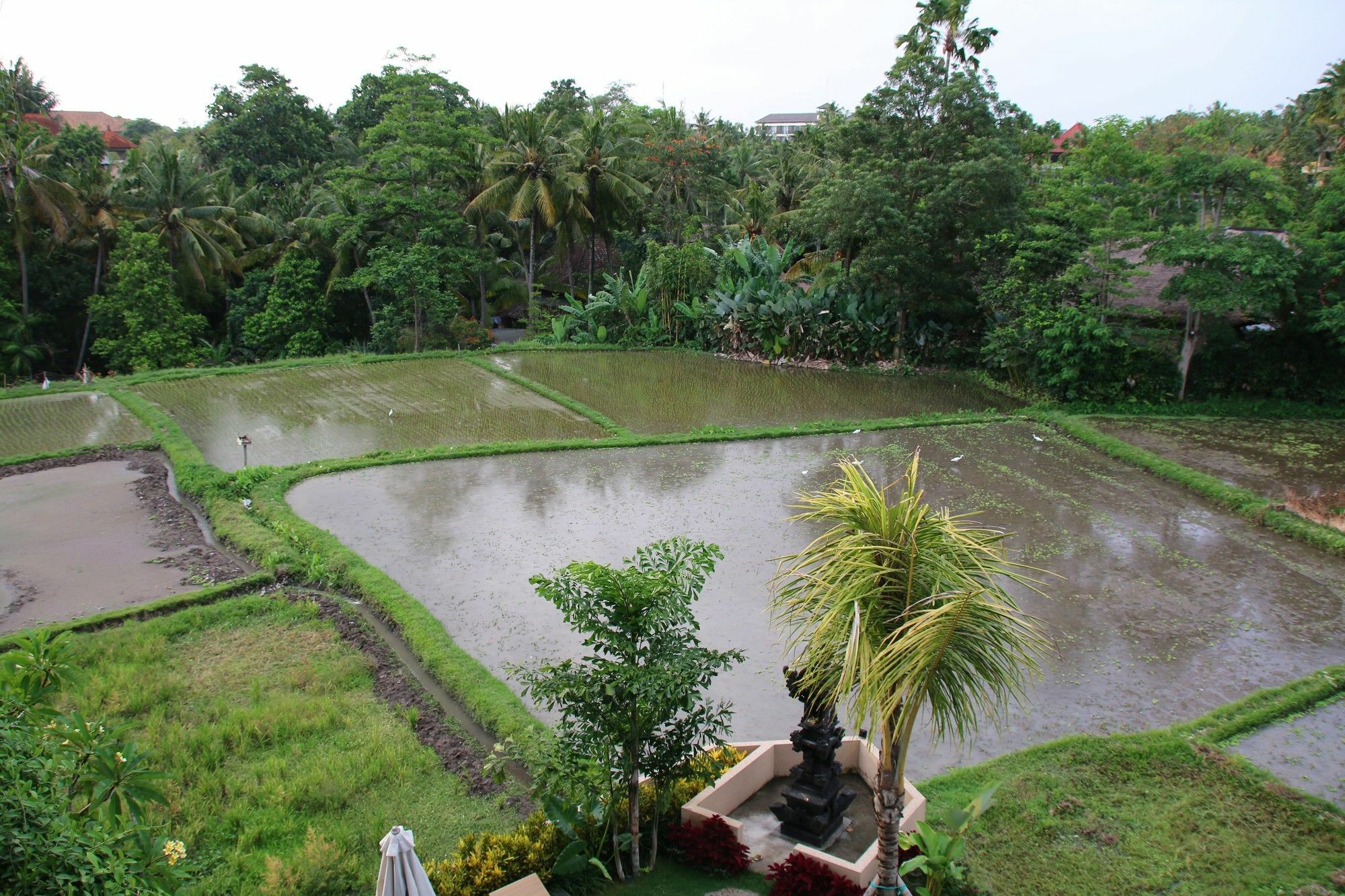 Byasa 3* Ubud (Bali)