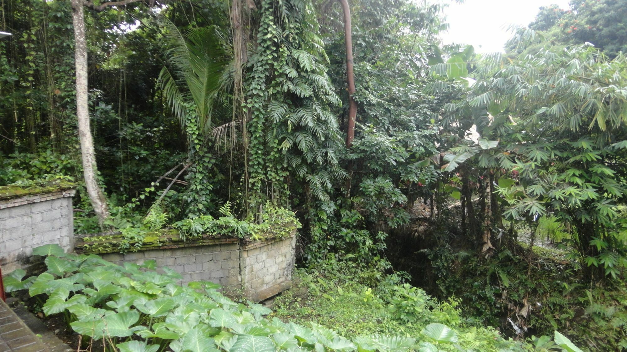 Uma Bian Ubud (Bali)
