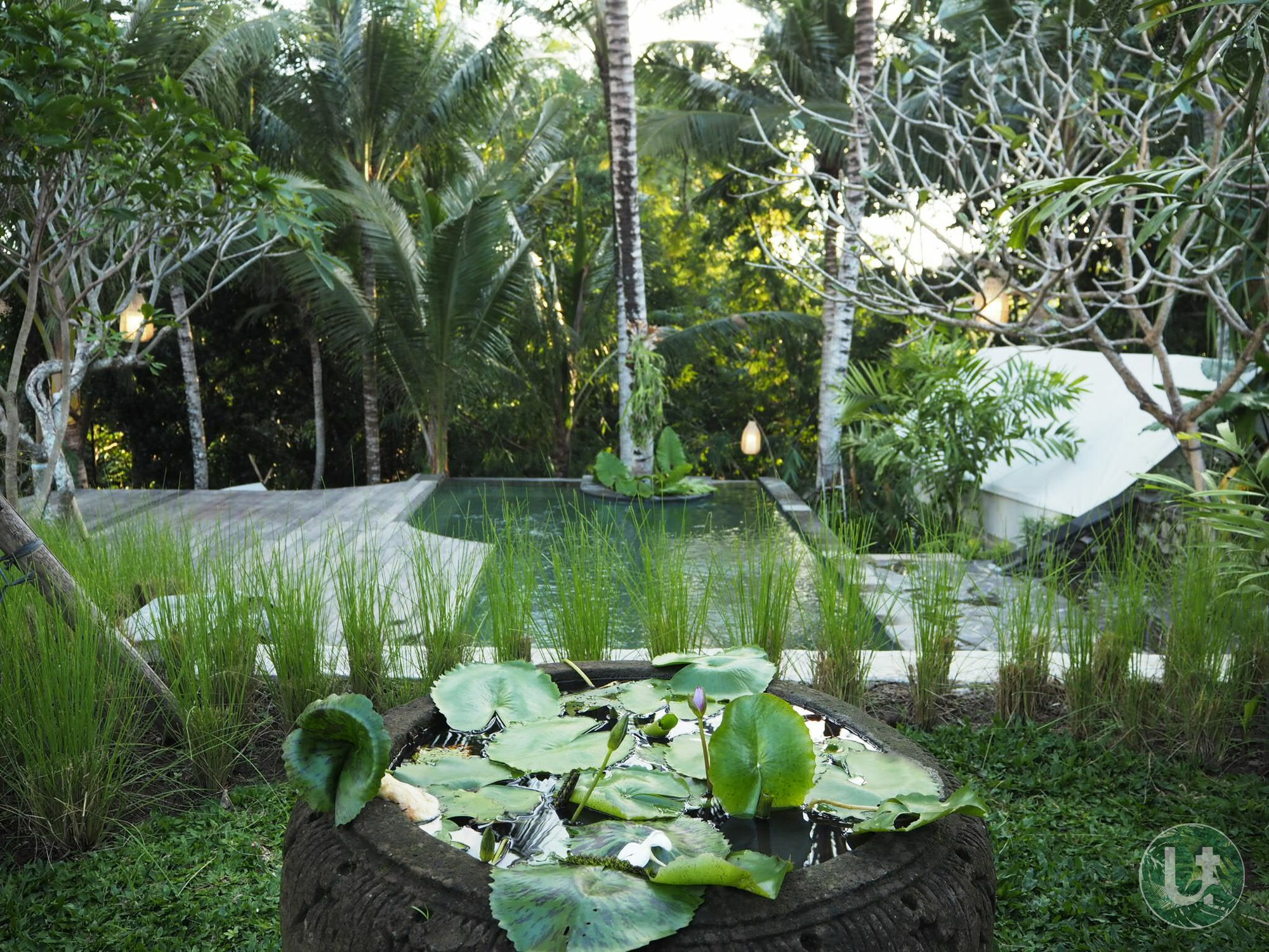 Tropical Hostel