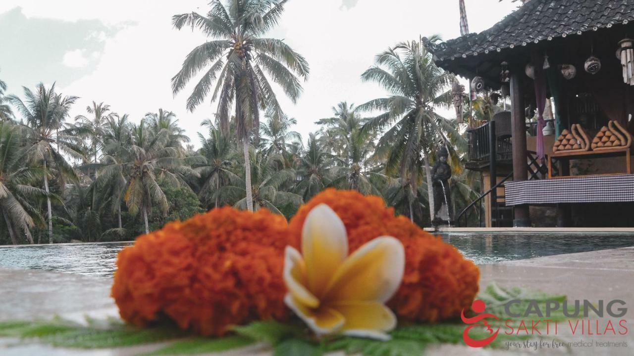 Capung Sakti
