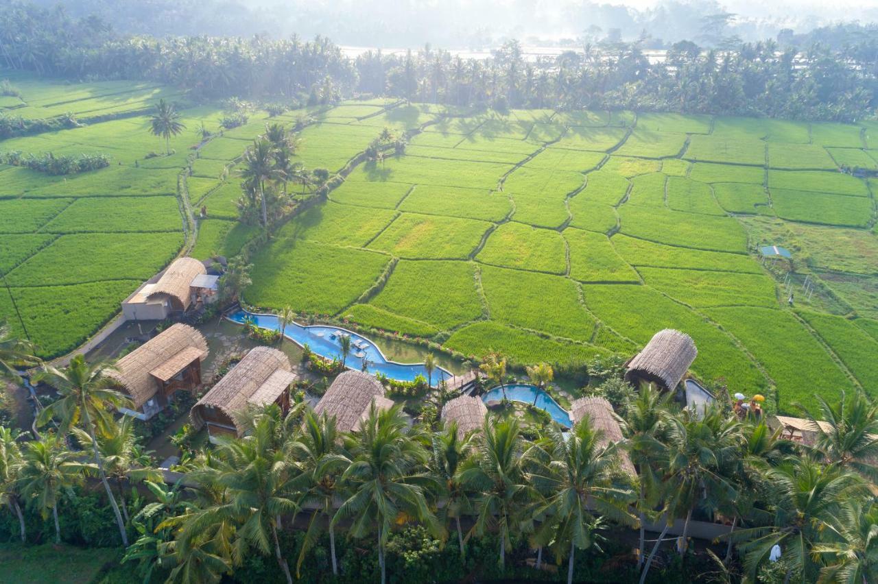 Beehouse Dijiwa Ubud (Bali)
