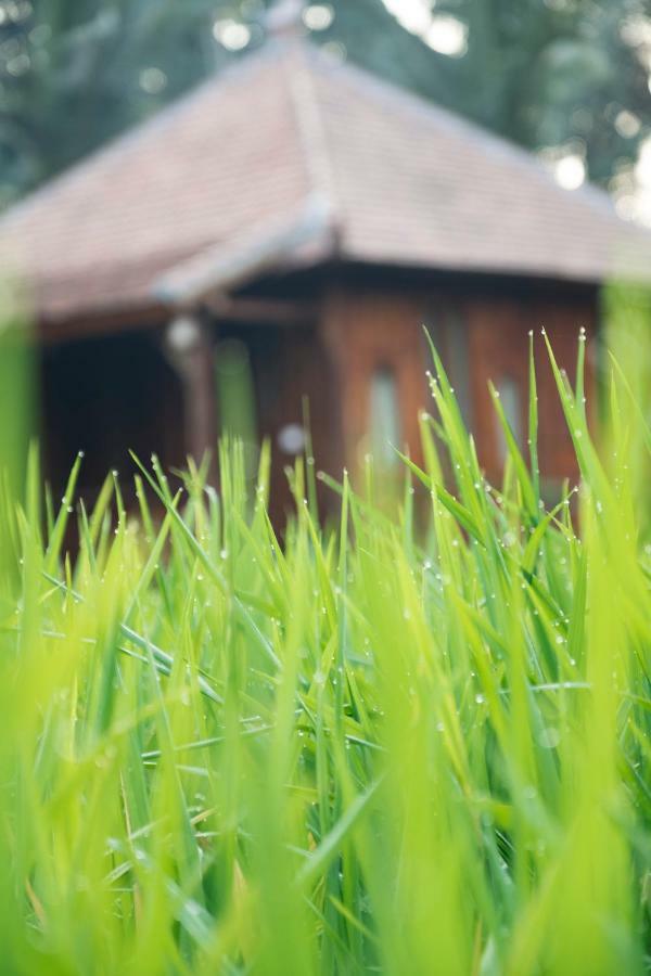Uma Lanne - A Wooden Hideway Villas *