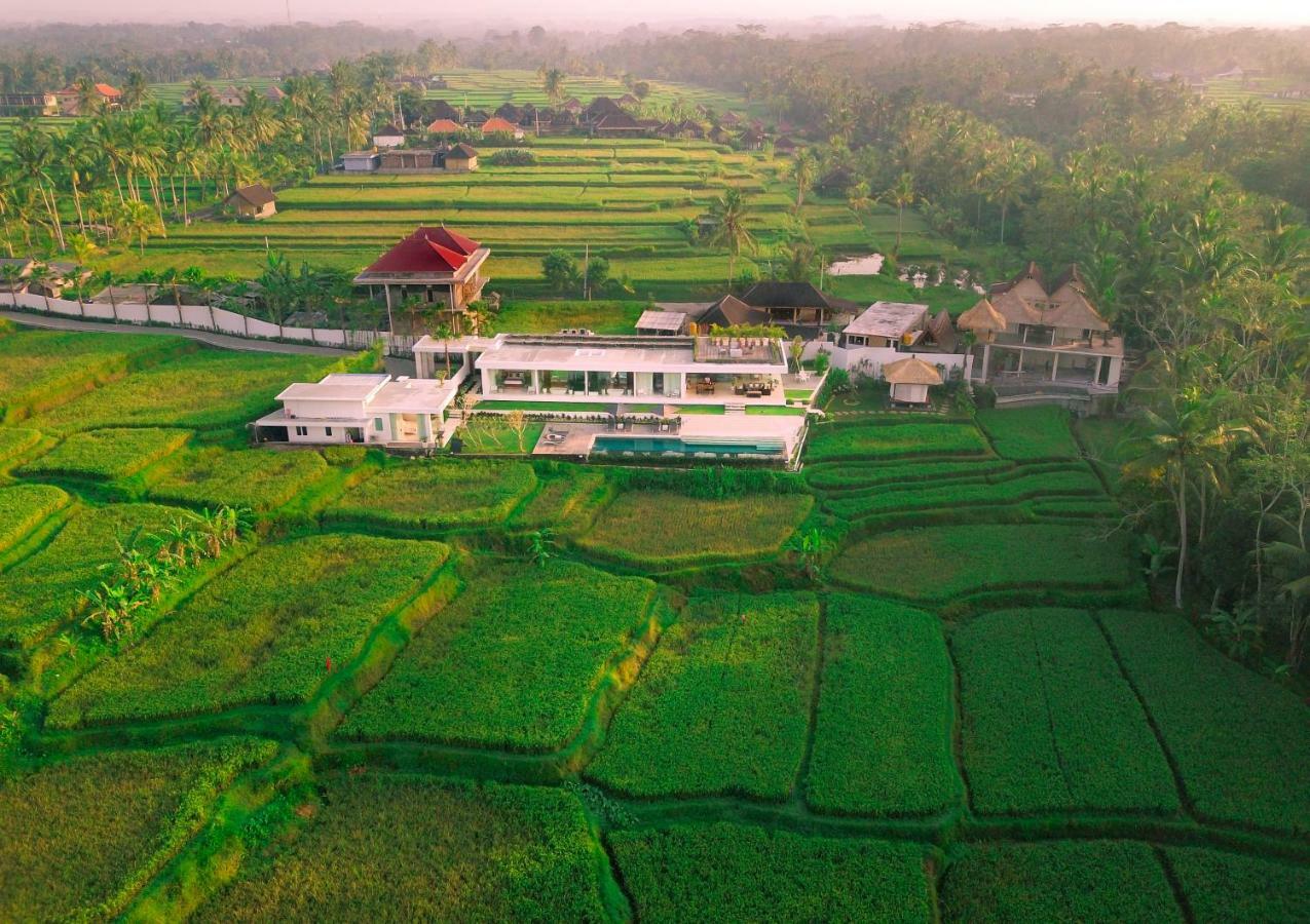 Villa Harta *