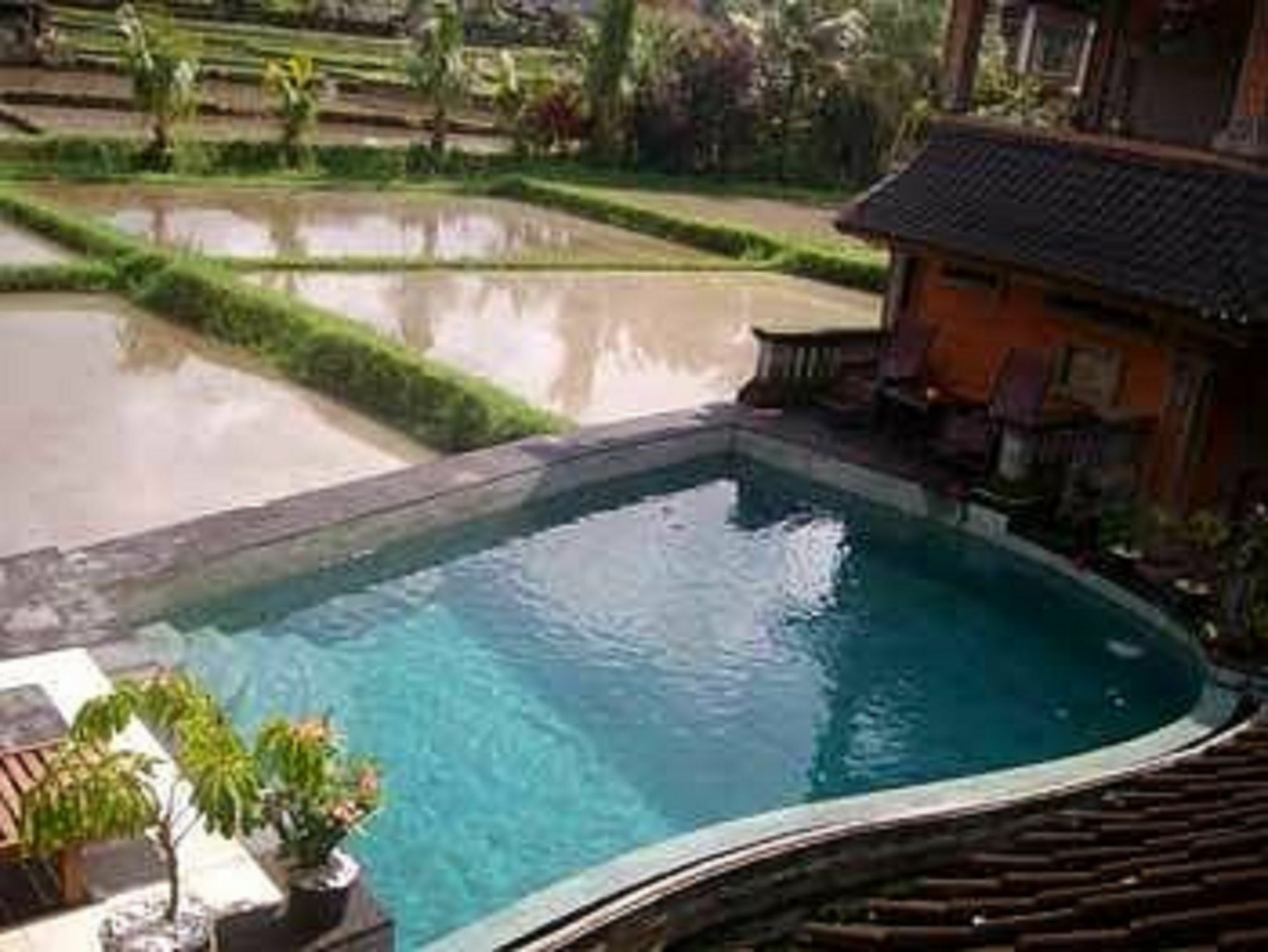 Casa de hóspedes Ala's Lagoon Ubud