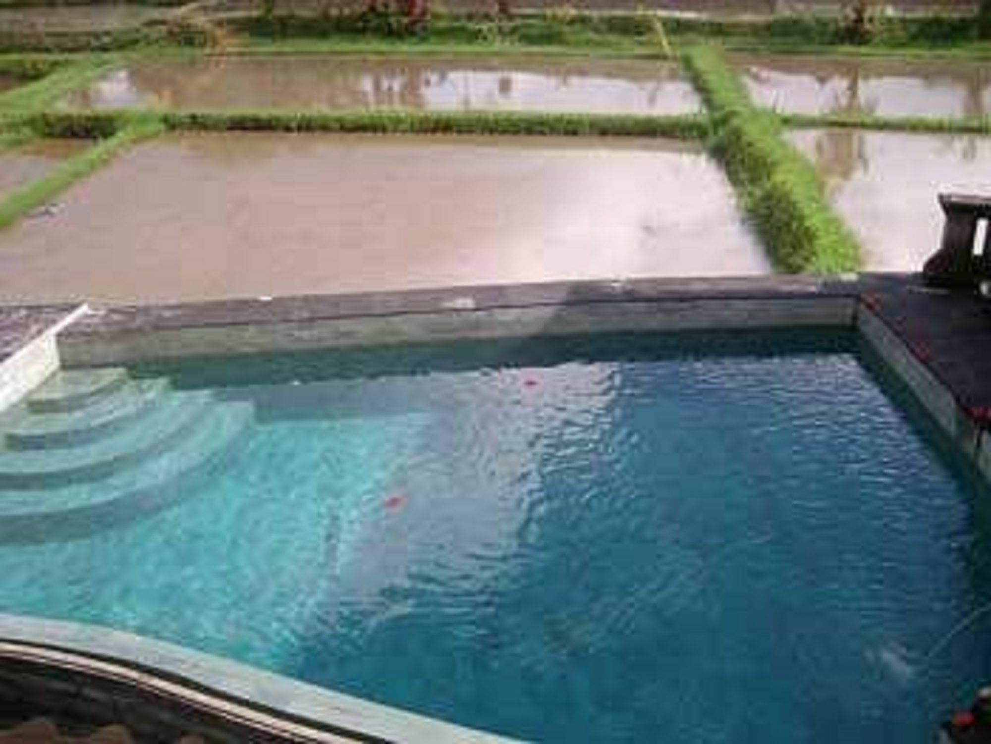 Ala's Lagoon 3*