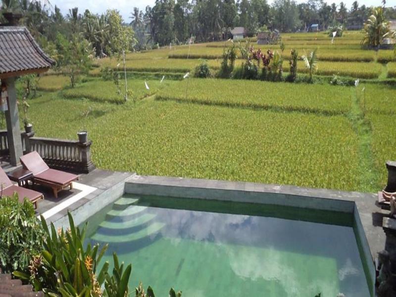 Ala's Lagoon 3*