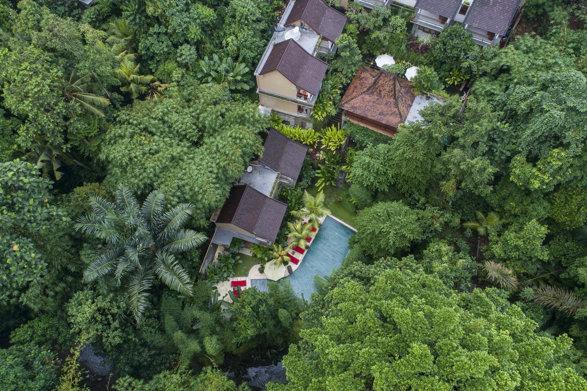Jungle Haven Gasthof