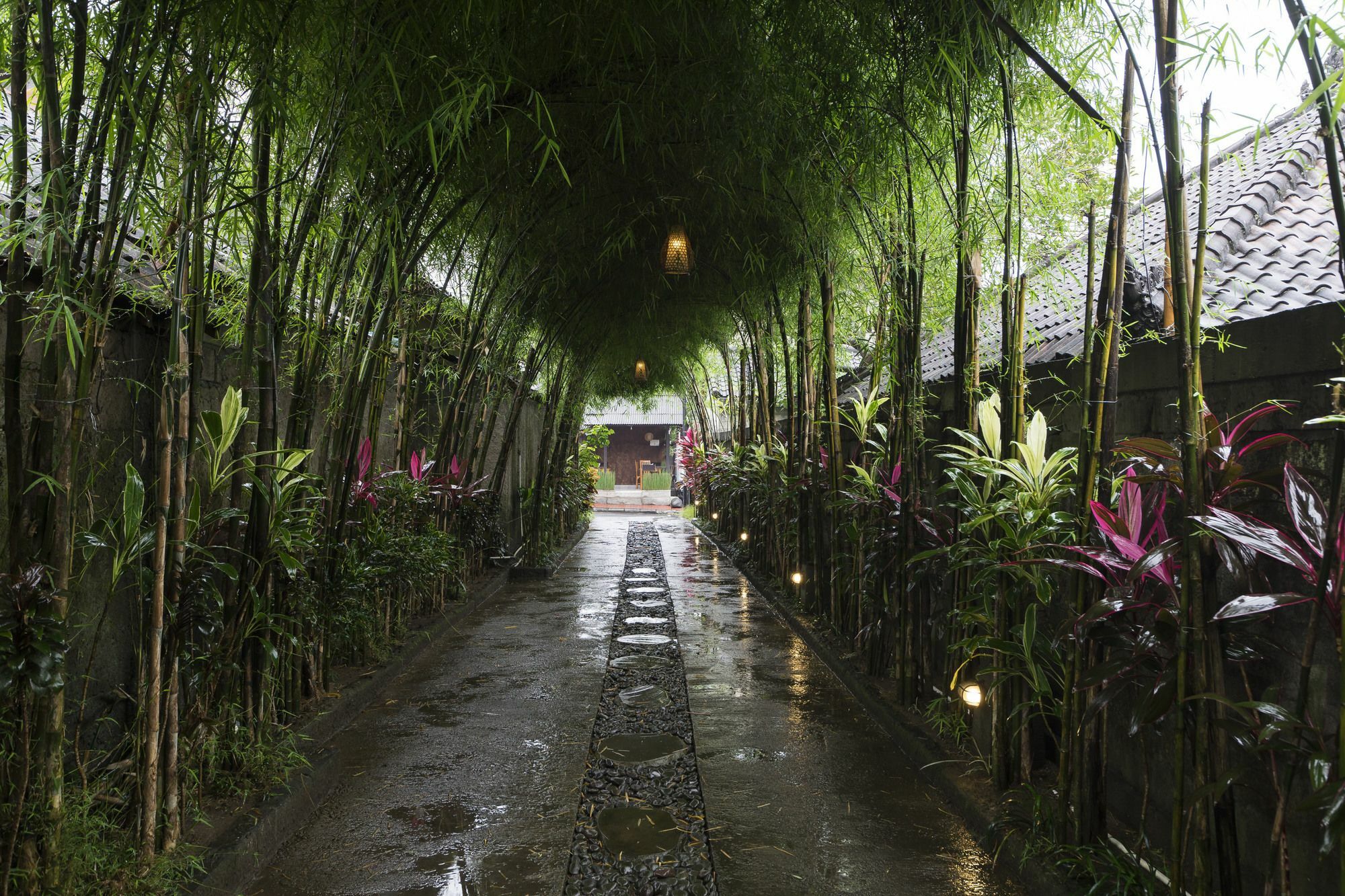 Jungle Haven Gasthof