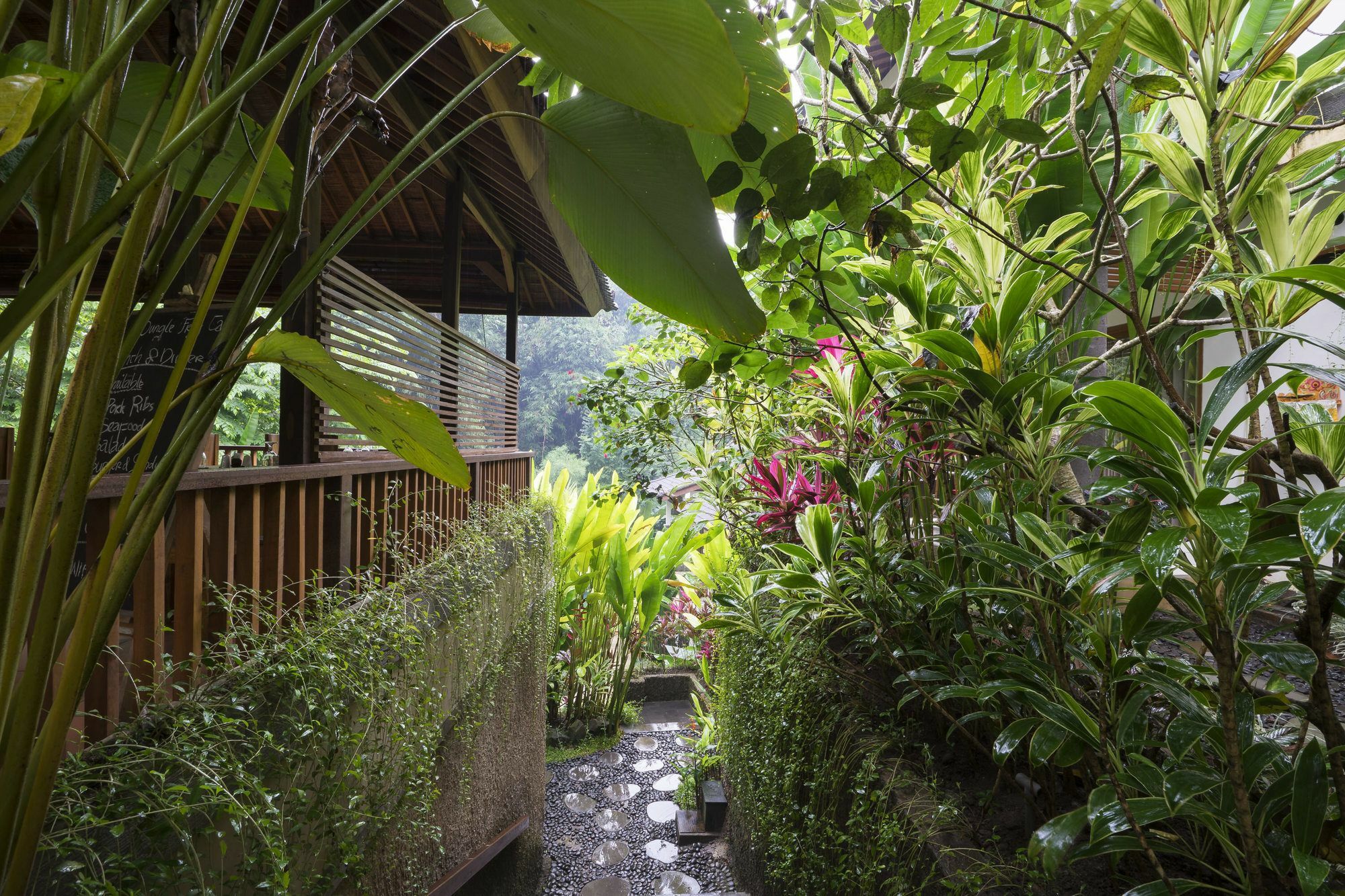 Gasthof Jungle Haven