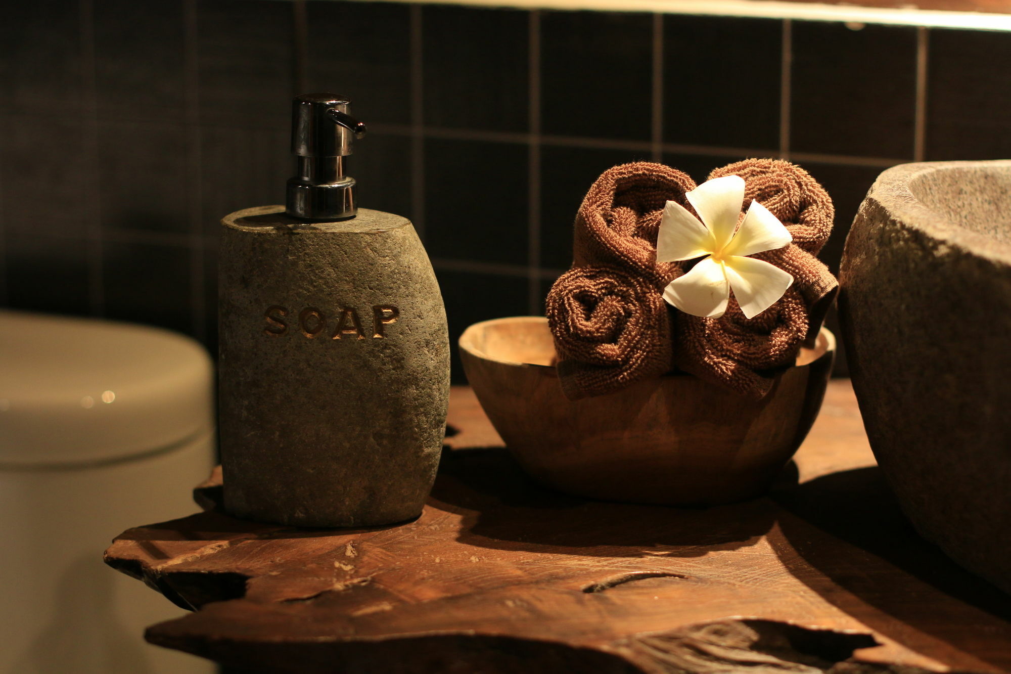 Bird - Chse Certified Holiday park Ubud (Bali)