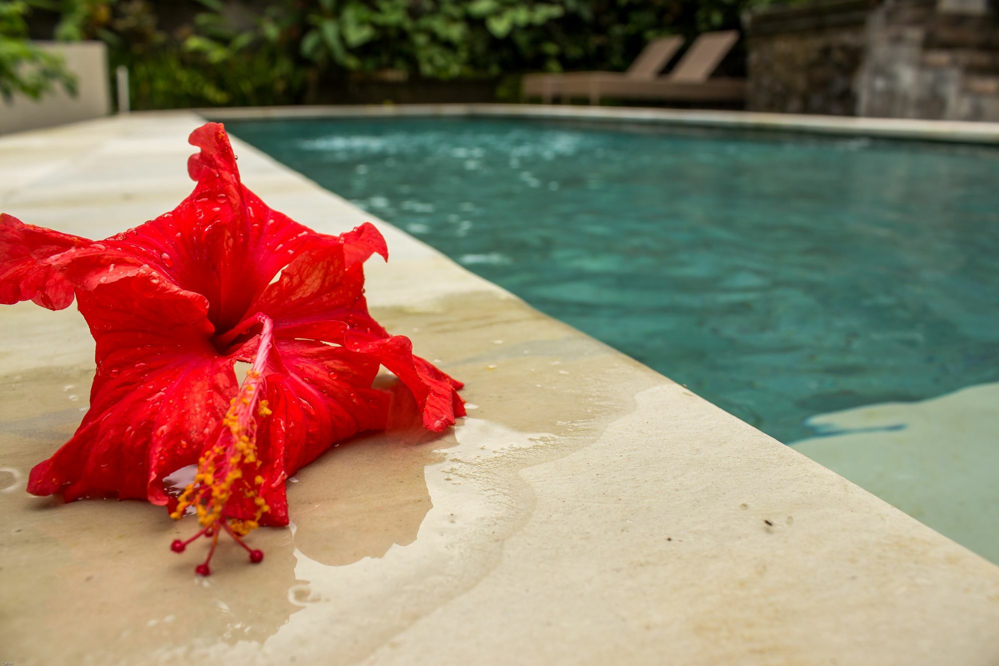 Bismajaya * Ubud (Bali)
