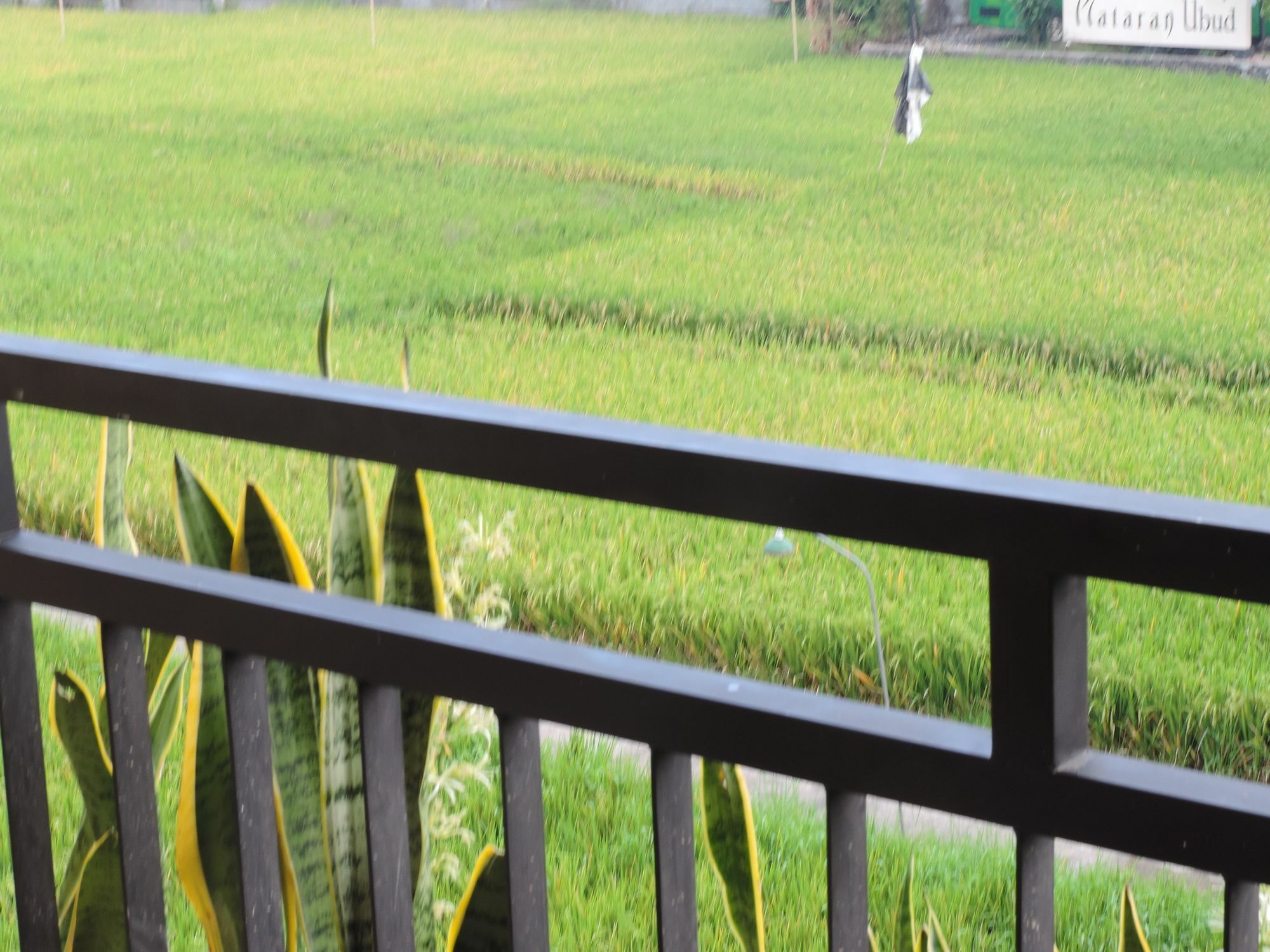 Guest house Arnawa