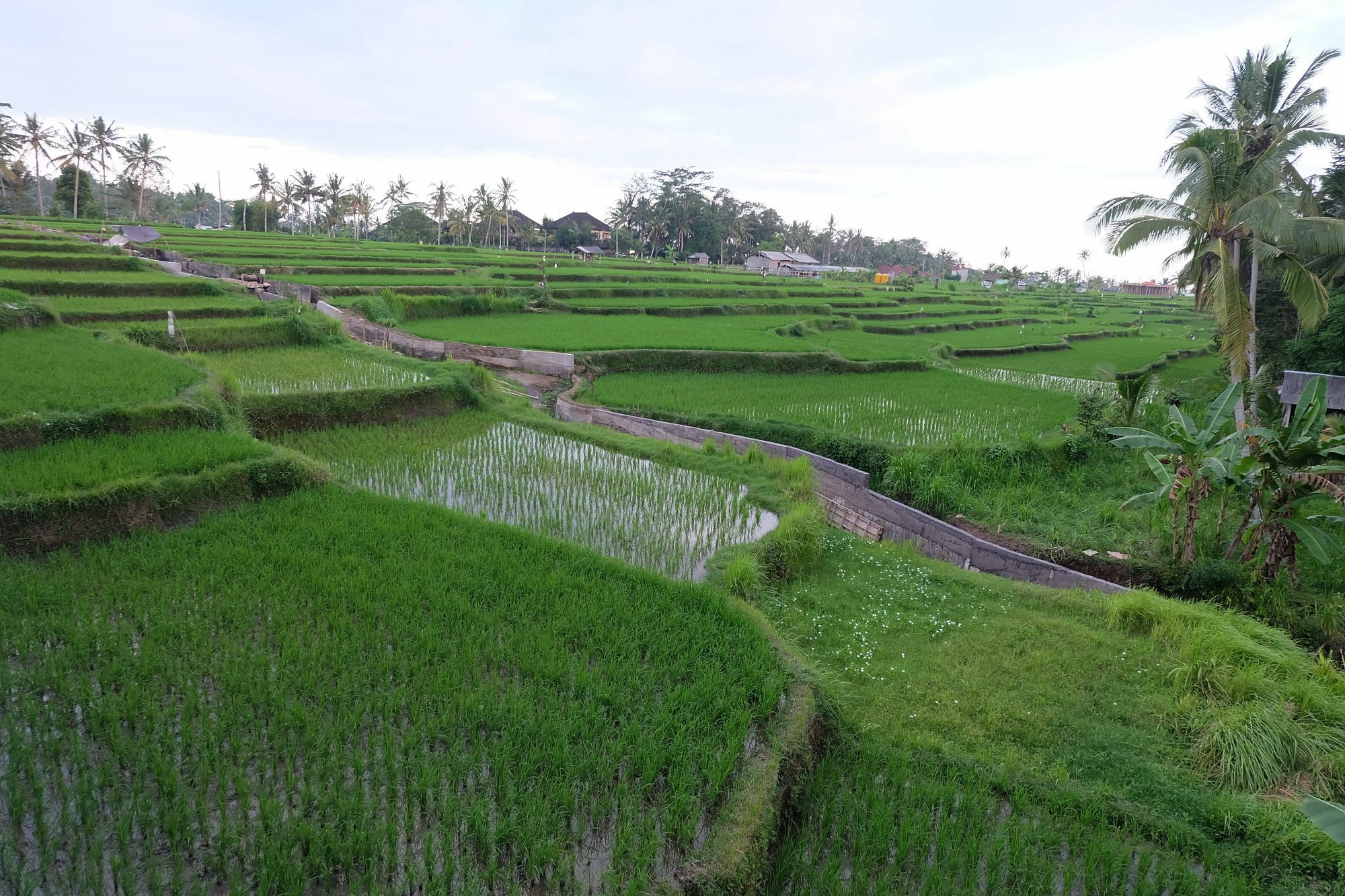 Greenfield Luxury Ubud (Bali)