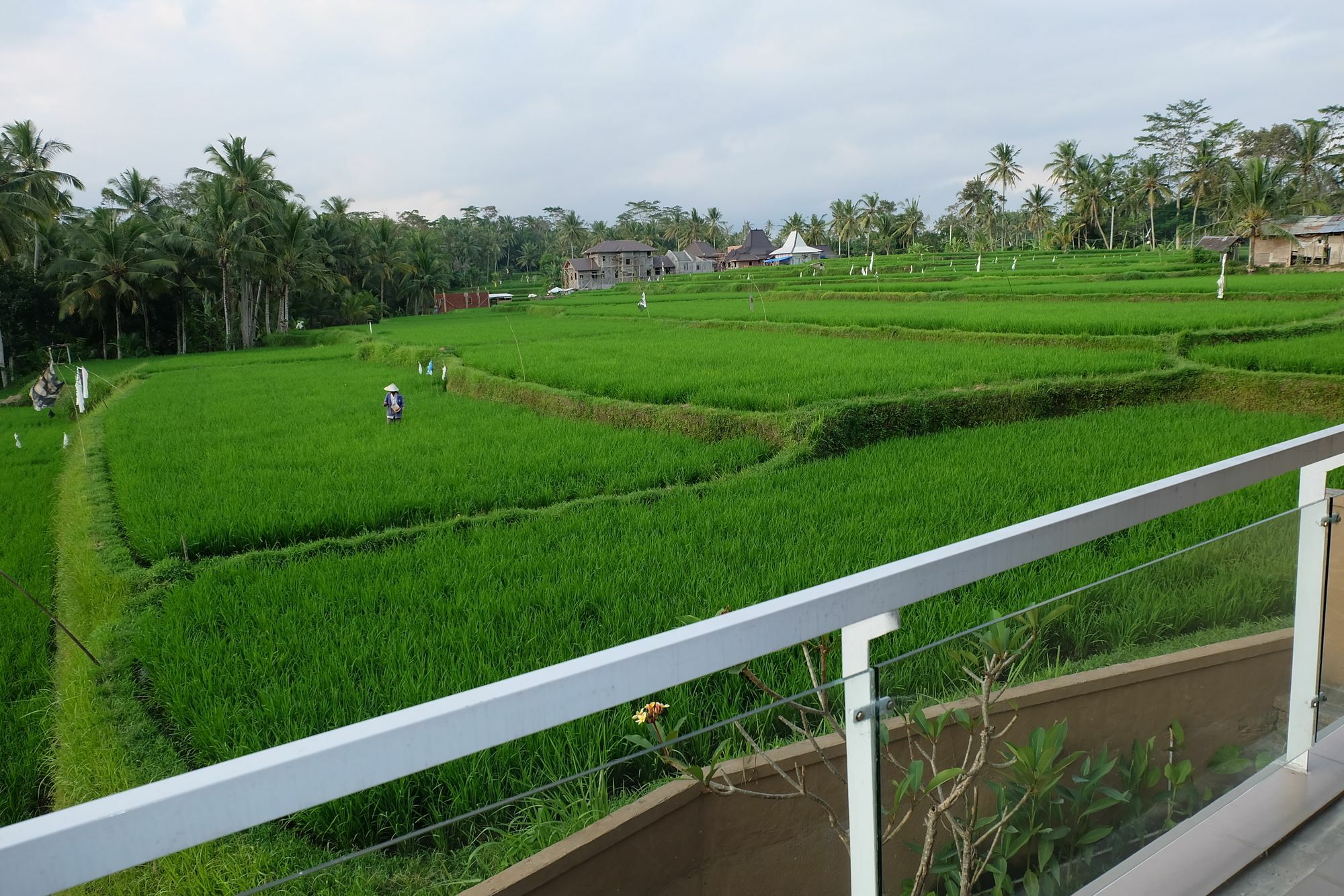 Villa Greenfield Luxury
