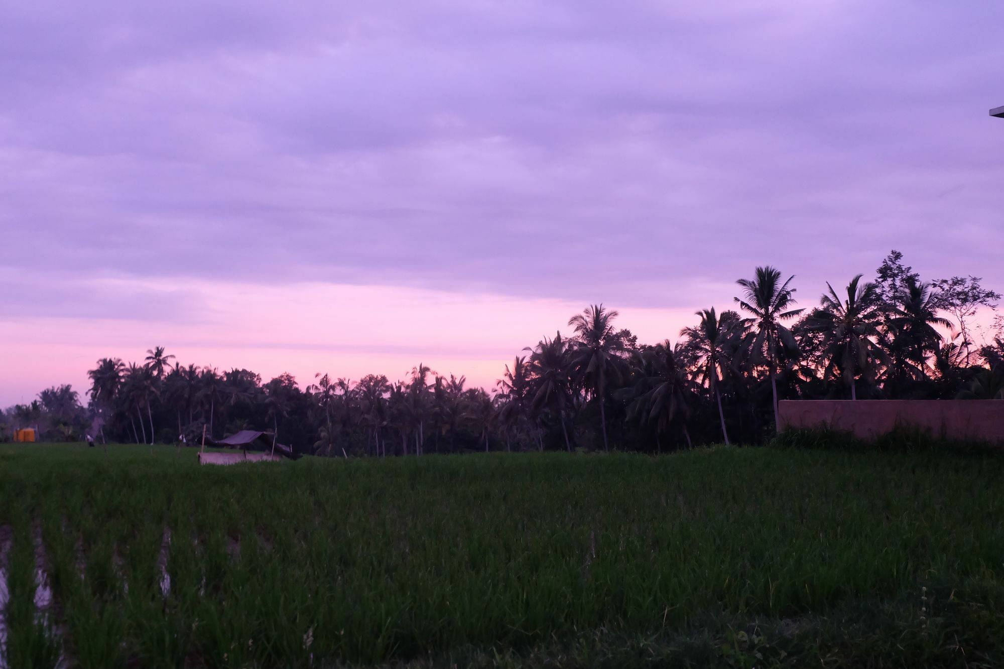 Greenfield Luxury Ubud (Bali)