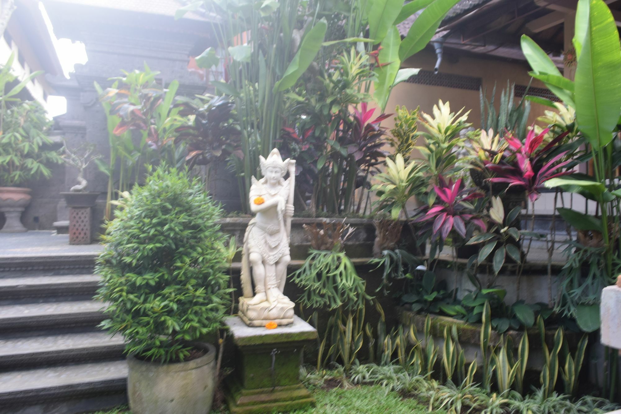 Aura Bisma Ubud (Bali)