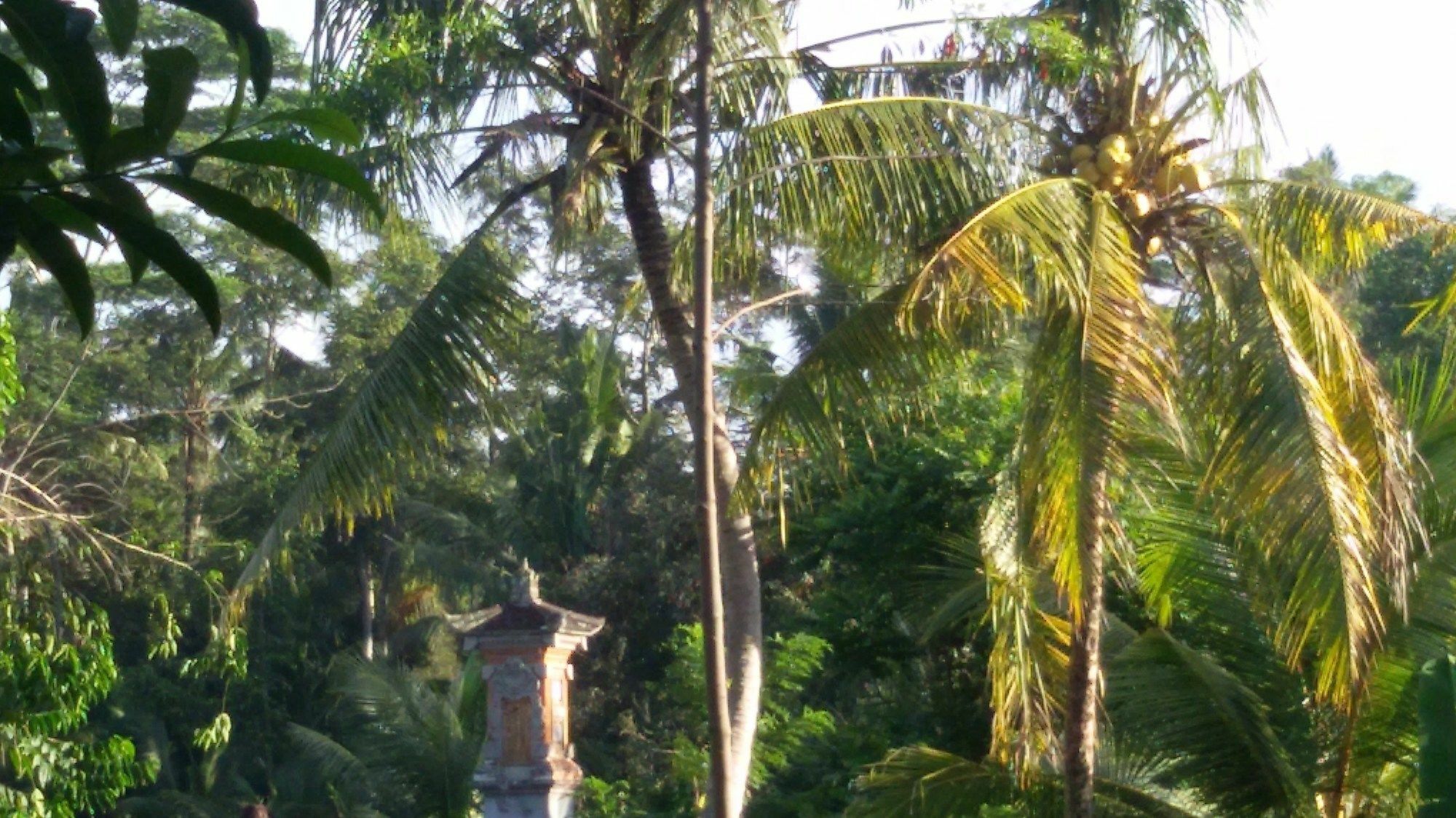 Manada Guesthouae Bed & Breakfast