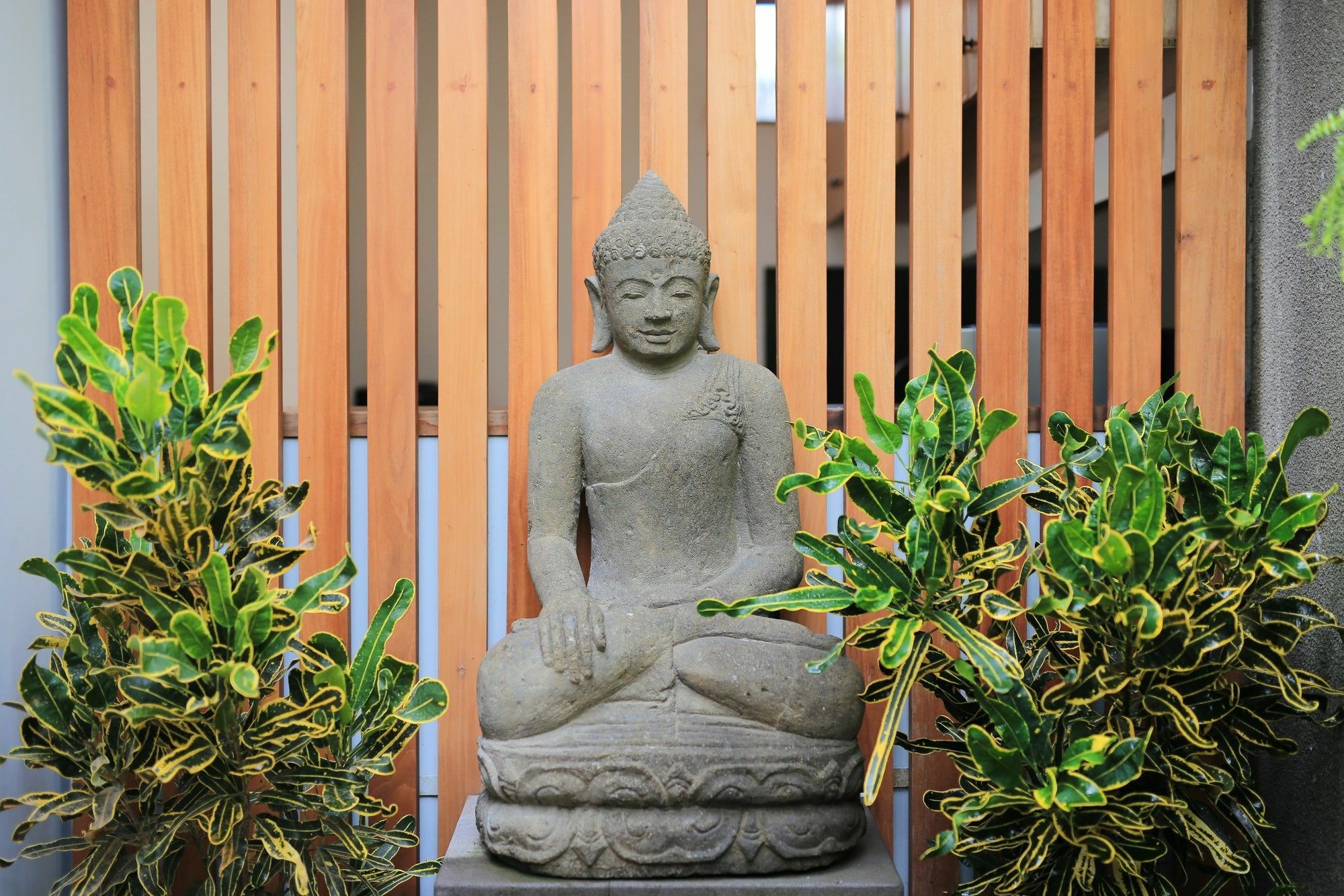 Ume Sri