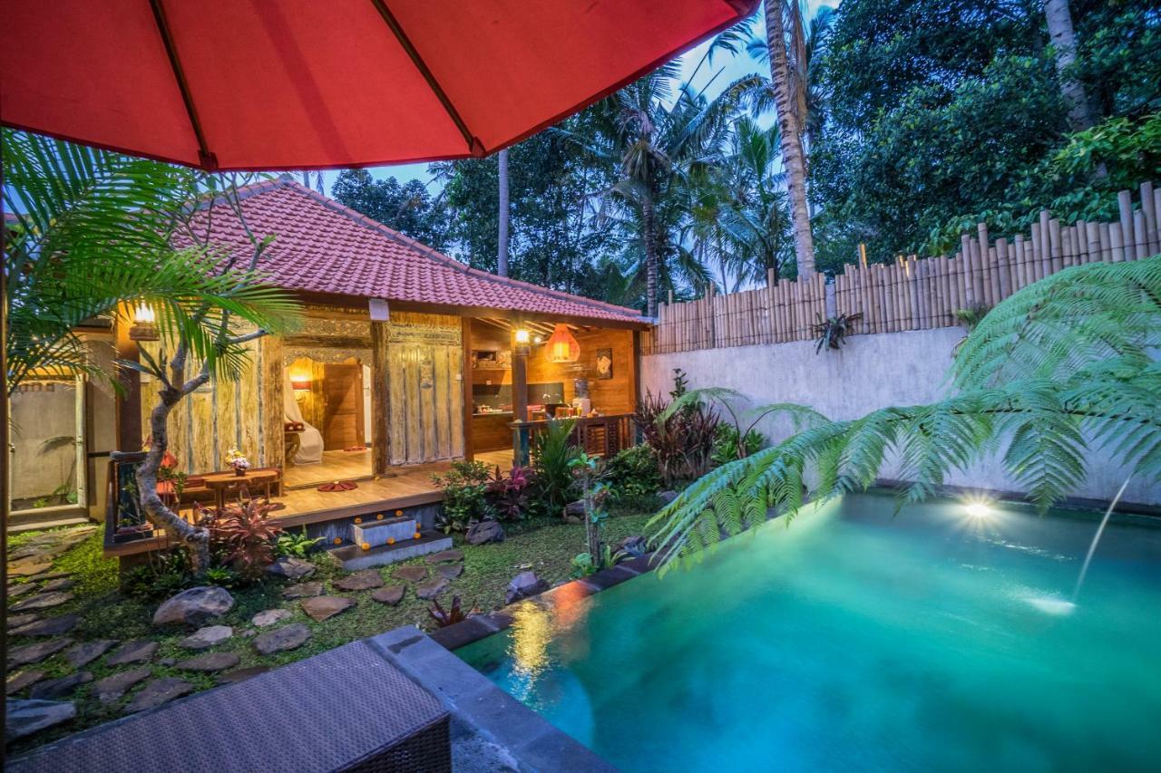 Villa The Forest Batu Kurung *