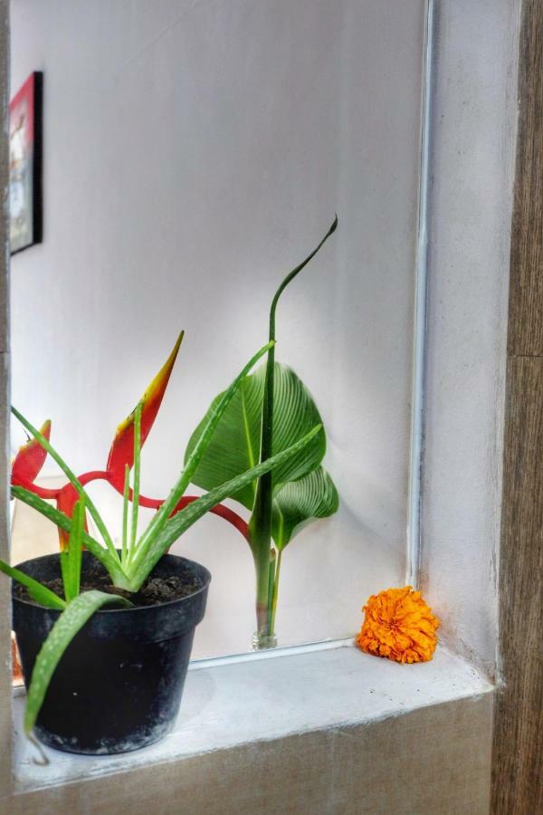 Accommodatie bij particulieren Canang Gardens Ubud