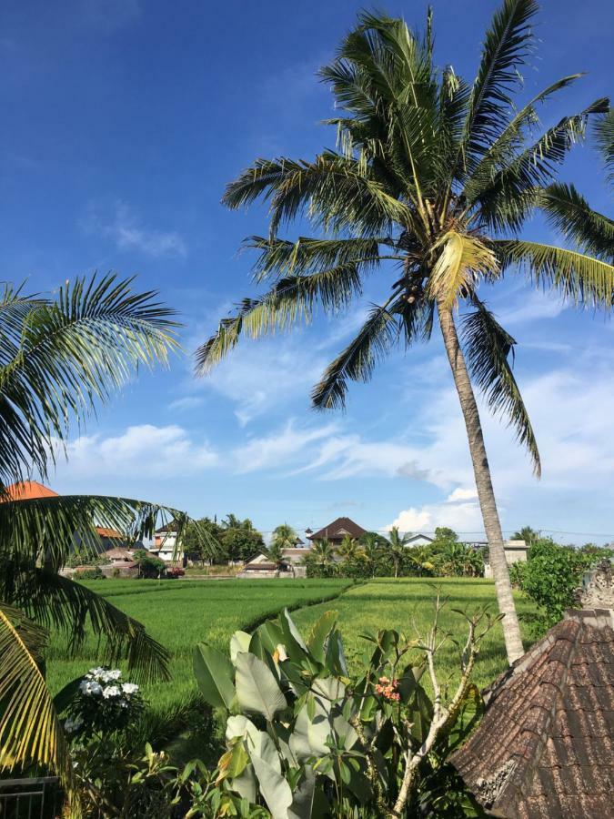 Darmanata * Ubud