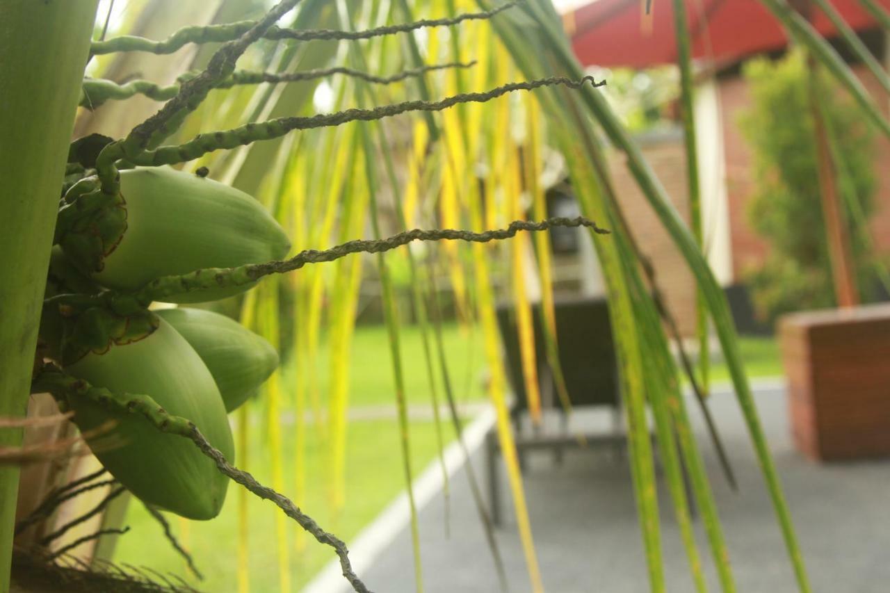 Dhiari Ubud