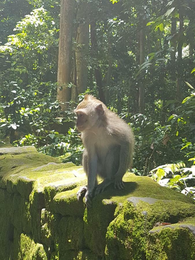 Gusti * Ubud