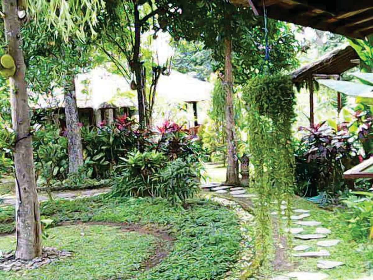 Astawa House Guest house 2*