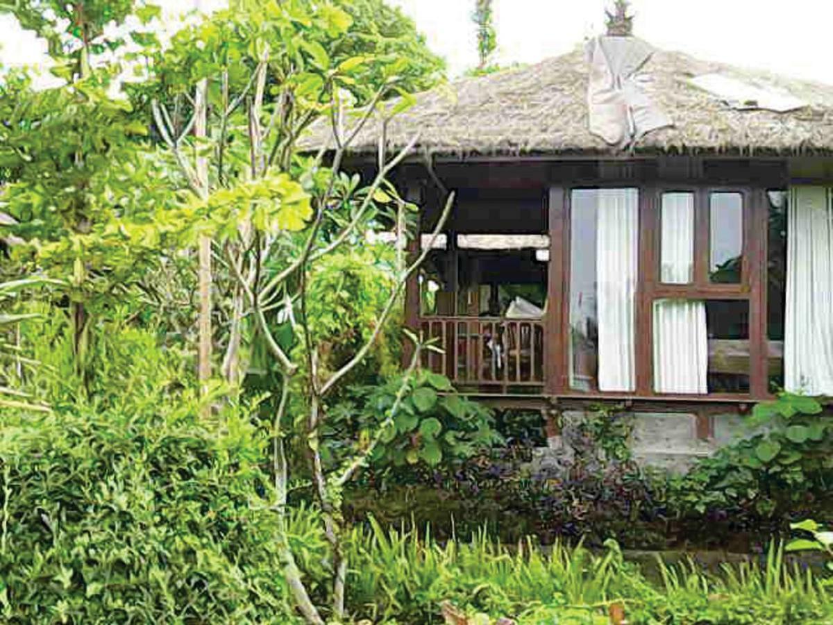 Guest house Astawa House