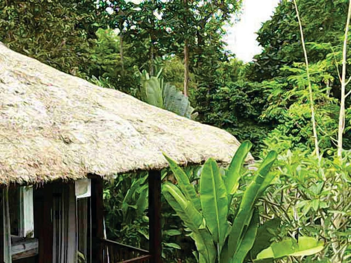 Guest house Astawa House Ubud (Bali)