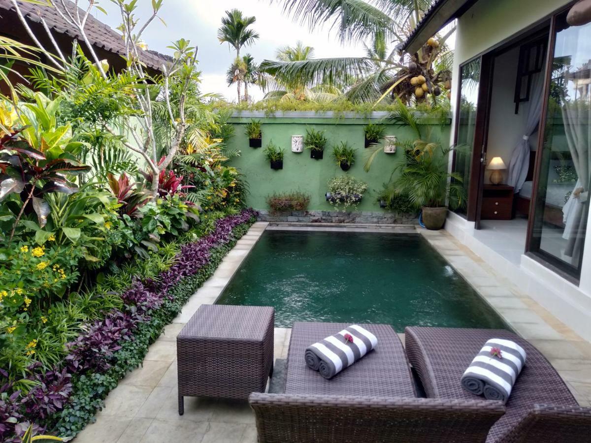Rumah Mini Apartment