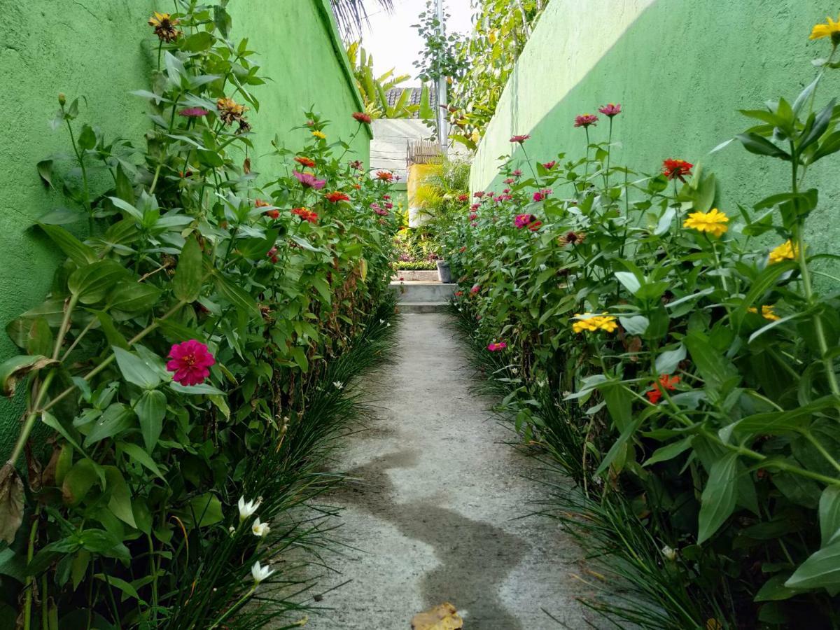 Rumah Mini *