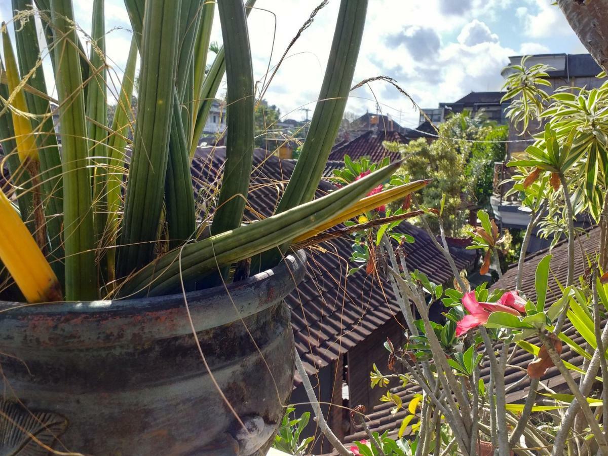 Puri Asri Ubud (Bali)