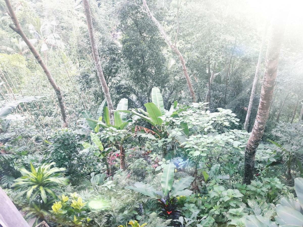 Guest house River Side House *